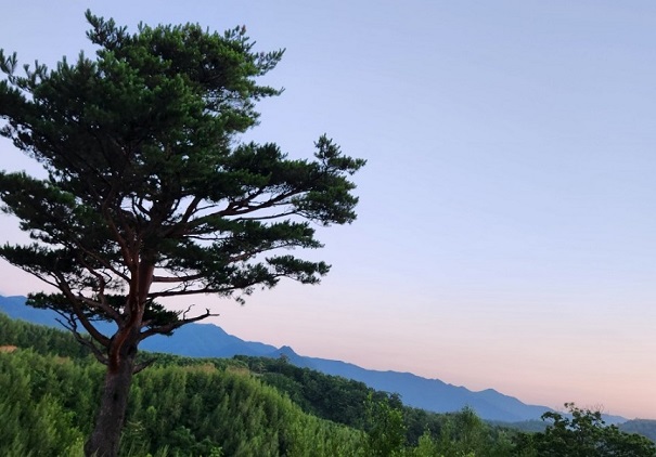 °£È£»ç, °£È£»ç½Å¹®, °£È£°è ´º½º, ÅëÀϰȱâ, °£È£µ¹º½