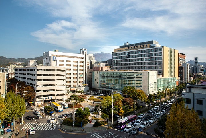 ȣŹ, , 뺴, ,  ,  ,  