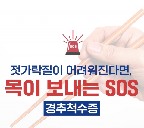 ȣŹ, Ƿ, , Ǳ뺴,  ǳ,  ô,  