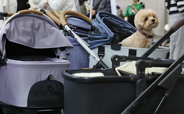 ȣŹ, Ƿ, ݷ, ˷, û, Ҿõ ȣƮ , ƻ꺴