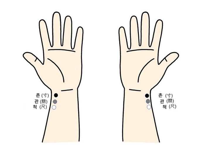 °£È£»ç½Å¹®, º¸°ÇÀÇ·á, °ÅÀÚ Ä§¹ý, °µ¿°æÈñ´ëº´¿ø, ¹é¿ëÇö ±³¼ö, À̵¿¹Î ±³¼ö