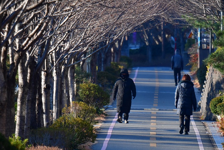 °£È£»ç½Å¹®, º¸°ÇÀÇ·á, ±Ù°¨¼ÒÁõ, Áö¹æ°£, 4°³¿ù ¿îµ¿, ±ÙÀ°, ¹ÙÀ̱۸®Ä, Áúº´°ü¸®Ã», ±¹¸³º¸°Ç¿¬±¸¿ø