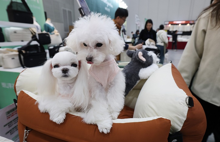 ��ȣ��Ź�, �����Ƿ�, �ݷ�����, �˷�����, ��������û