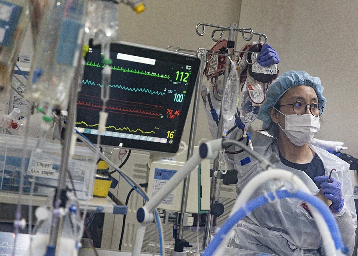 ��ȣ��Ź�, â�� 49�ֳ� Ư��, ��ȣ �������÷�, ��ȣ��å������, ��ȣ��, �η� ���� �߰�, �����Ƿ� ��ȣ��, ���Ѱ�ȣ��ȸ