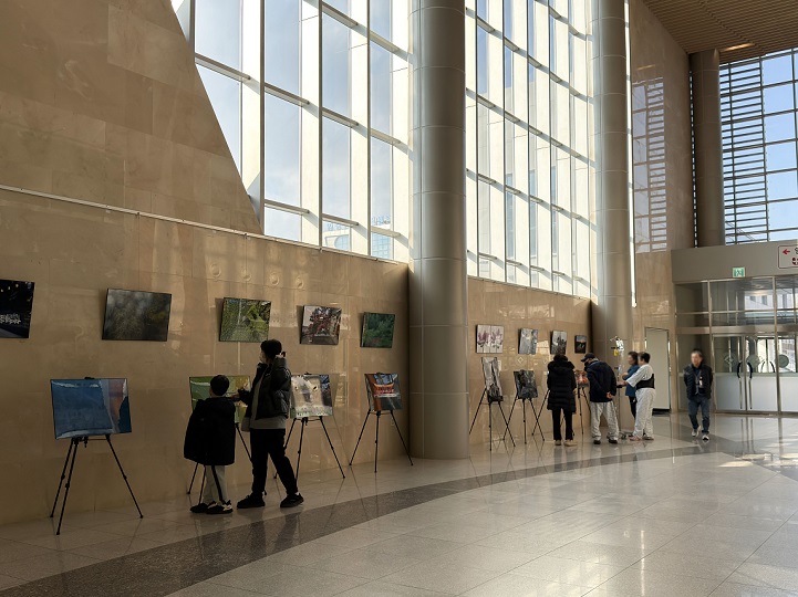 ��ȣ��Ź�, ��������, ���ϴ뺴��, ��ȭ ����, ���� ���, ������