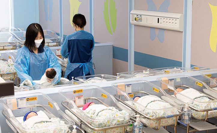 ��ȣ��Ź�, �����Ƿ�, �ؼ���ü�߾�, ������ �̼���, �������ǿ�����, �ѱ��Ż��Ƴ�Ʈ��ũ, 2024�⵵ ����������