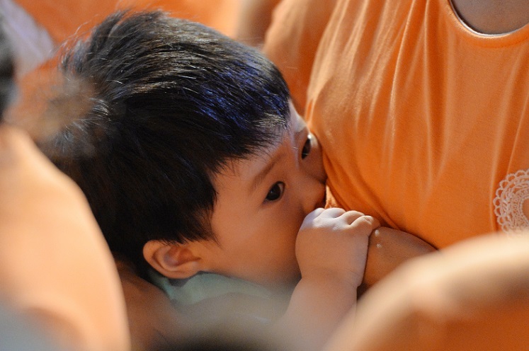 ��ȣ��Ź�, �����Ƿ�, �ǰ�����, ��������, ��õ���𺴿�, ��������, �ּ��� ����