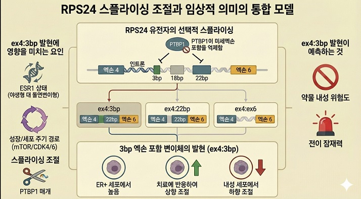 ��ȣ��Ź�, �����Ƿ�, ��������, ���縯�߾��Ƿ��, ���������л����, �����, �ٽ� ������ ���� �Ը�, ���縯�� ������